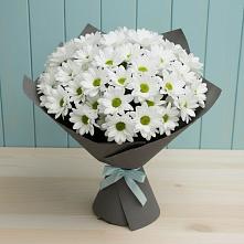 Букет цветов из:  Хризантемы в Шкотово