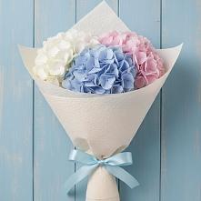 Букет цветов из:  Гортензия в Шкотово