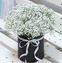 Цветочная композиция из Гипсофила в шляпной коробке в Шкотово
