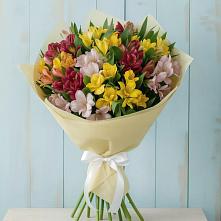 Букет цветов из:  Альстромерии в Шкотово