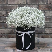 Цветочная композиция из Гипсофила в шляпной коробке в Шкотово