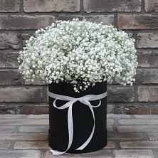 Цветочная композиция из Гипсофила в шляпной коробке в Шкотово