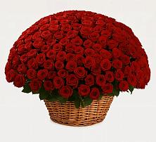 Премиум букет из: Розы в Шкотово