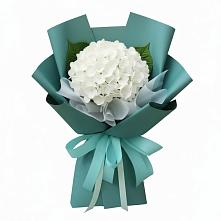 Букет цветов из:  Гортензия #REPLACE_PRED# Шкотово
